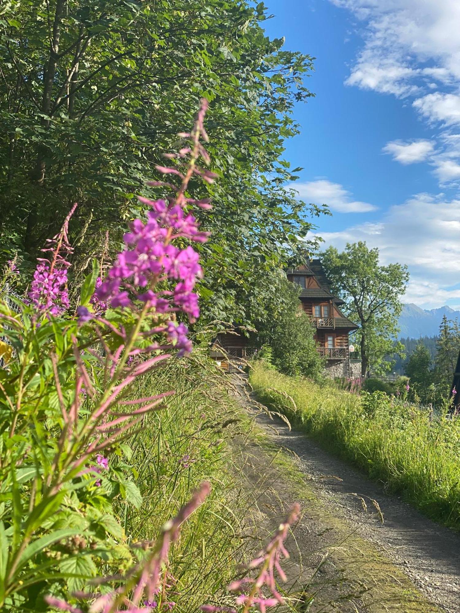 Alta Alloggio in famiglia Bukowina Tatrzańska